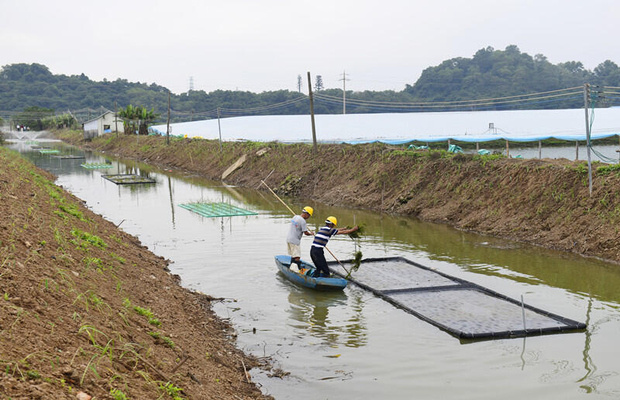 农业面源污染防治工程效果监测评价