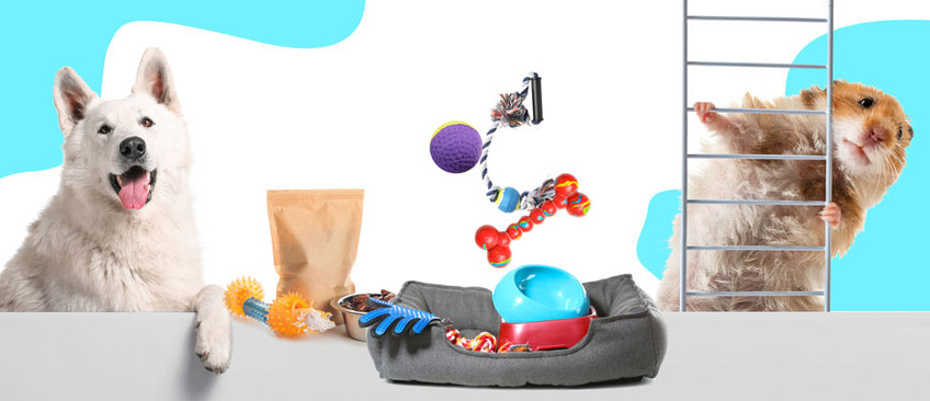 宠物玩具及用具检测