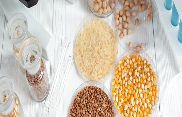 转基因成分检测