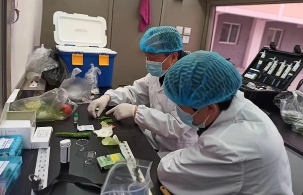 食品快检与实验室检测有什么区别？