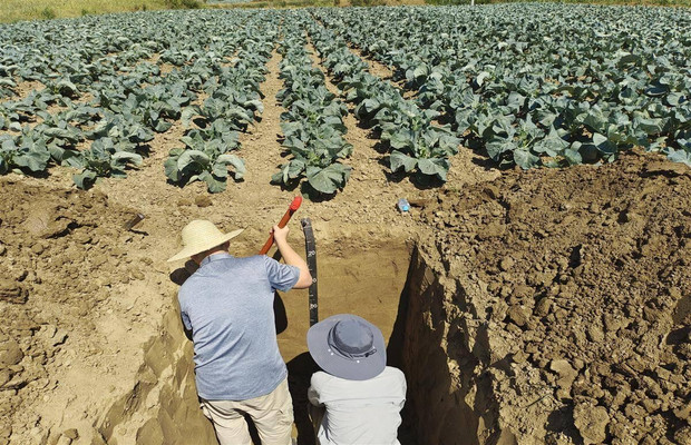 三普外业调查与采样
