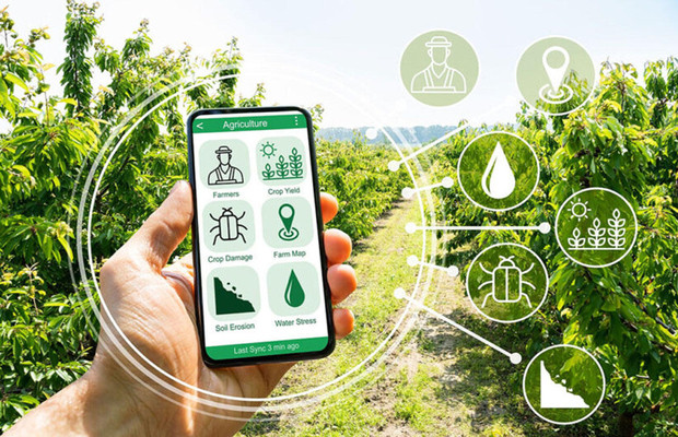 抖音小店服装检测报告怎么做？