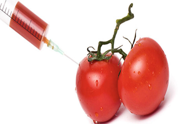 食品添加剂及违禁物质检测