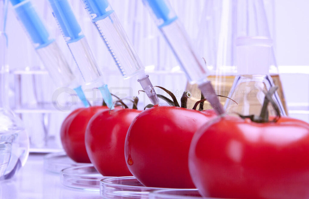 转基因食品检测