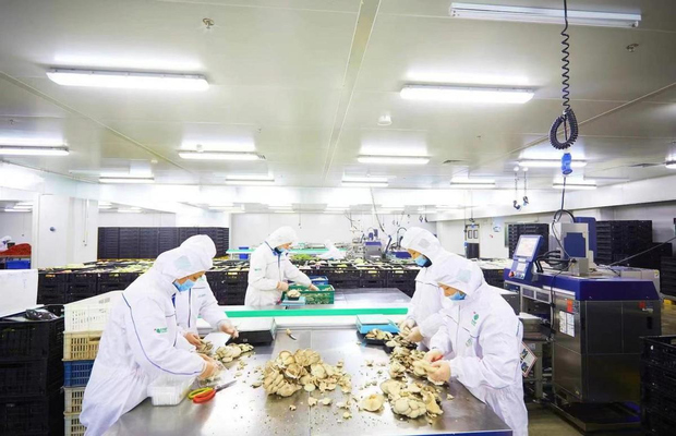 食品电商平台质量管控方案