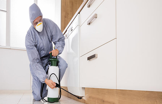 病媒生物全周期防控方案