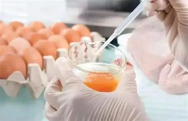 兽药残留检测有哪些？