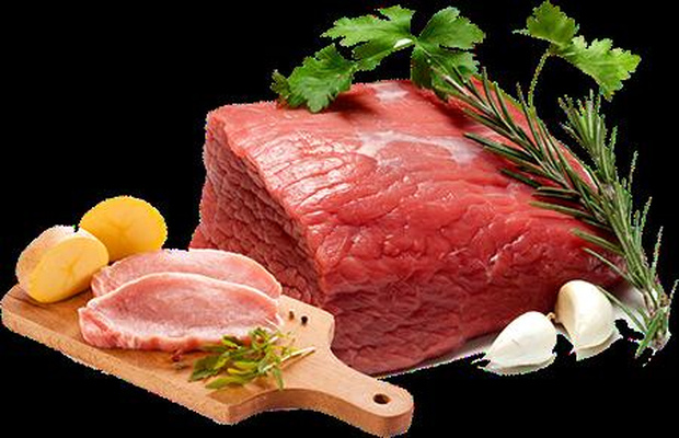 动物源性成分鉴定方法