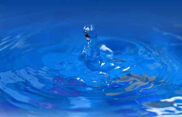 水产品高风险检测项目