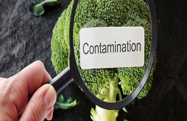 食品中污染物检测