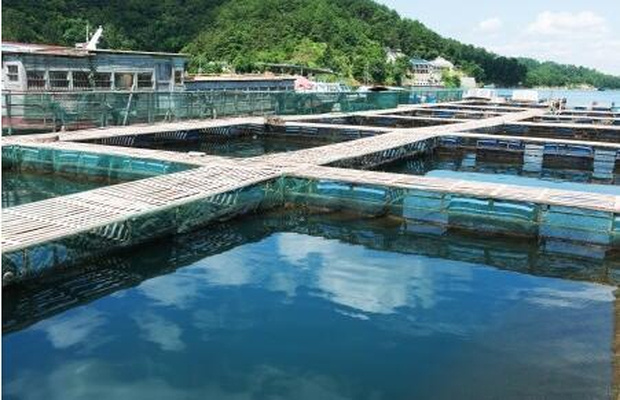 产地水产品兽药残留监控