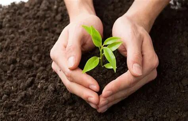 受污染耕地安全利用效果评估