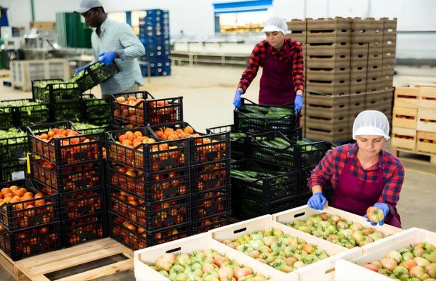 生鲜配送企业快检解决方案