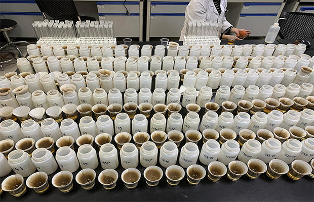 三普样品制备与流转