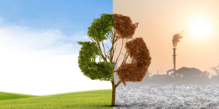 生物可降解测试