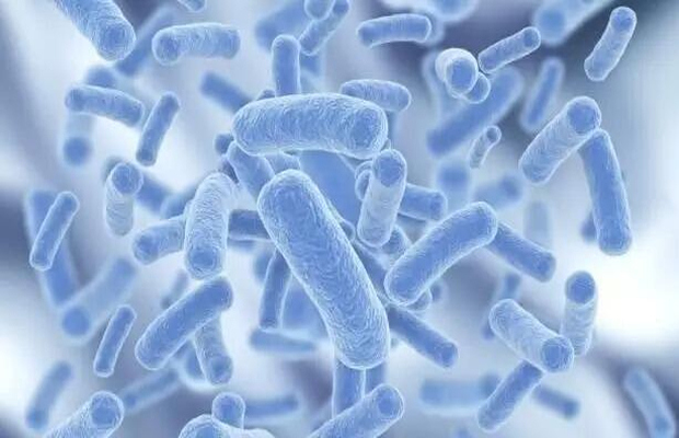 食品中益生菌检测怎么做？