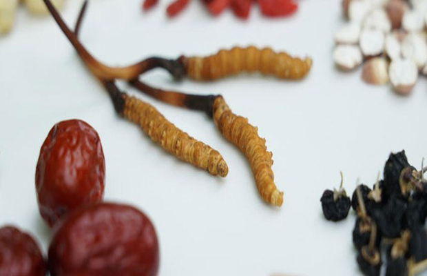 新食品原料注册一站式服务