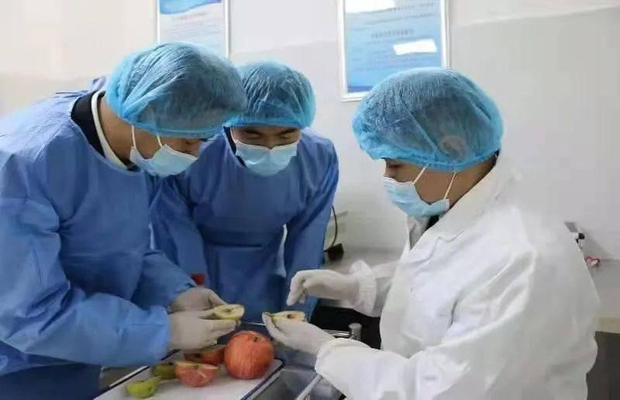 病媒生物防控在食品行业的应用