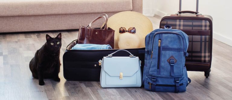 鞋类配件综合检测