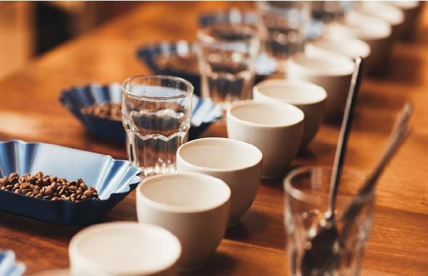 感官分析及消费者研究服务