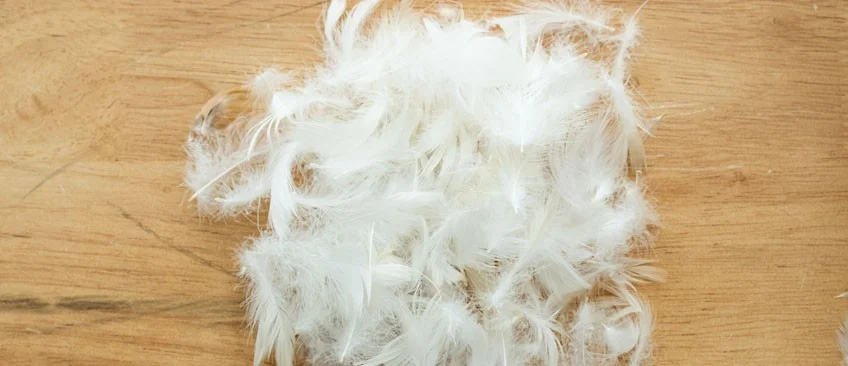 面料耐光色牢度测试