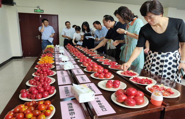 食品品鉴测试流程详解