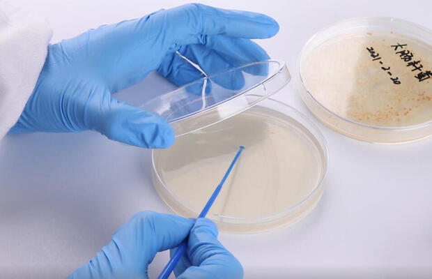 抗菌产品最小抑菌浓度测试