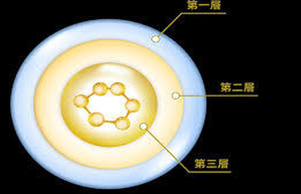 益生菌活菌数检测怎么收费