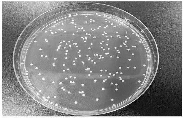 降脂降糖功能测试费用多少