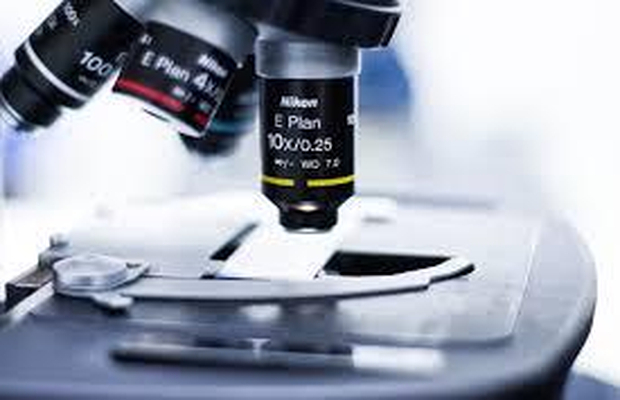 玩具邻苯二甲酸盐检测怎么做