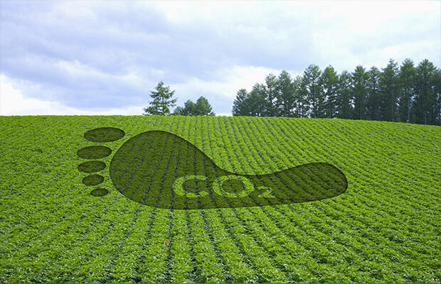 纺织品碳足迹评估检测