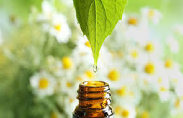 植物提取物检测标准