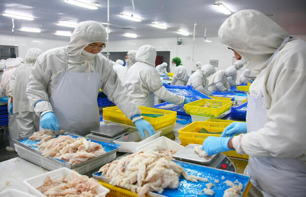 食品加工车间洁净度检测怎么做