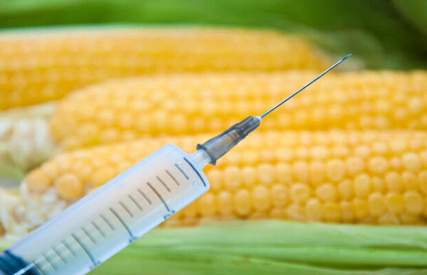 转基因成分定性定量检测费用