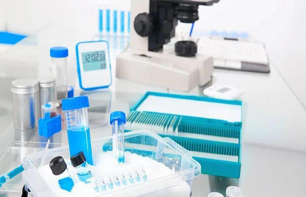 功能食品免疫力评价检测流程