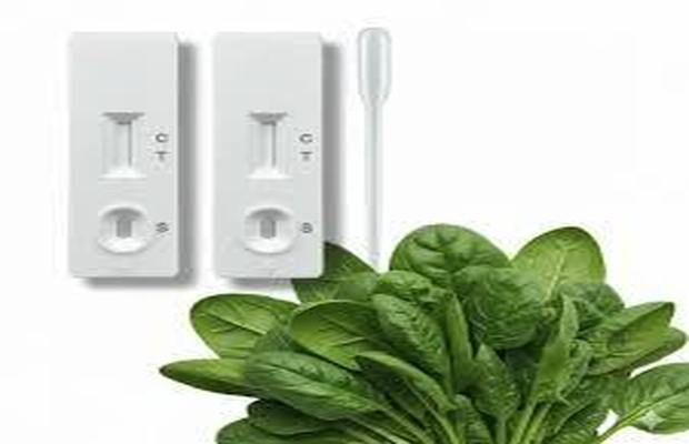 蔬菜农药残留检测流程及费用