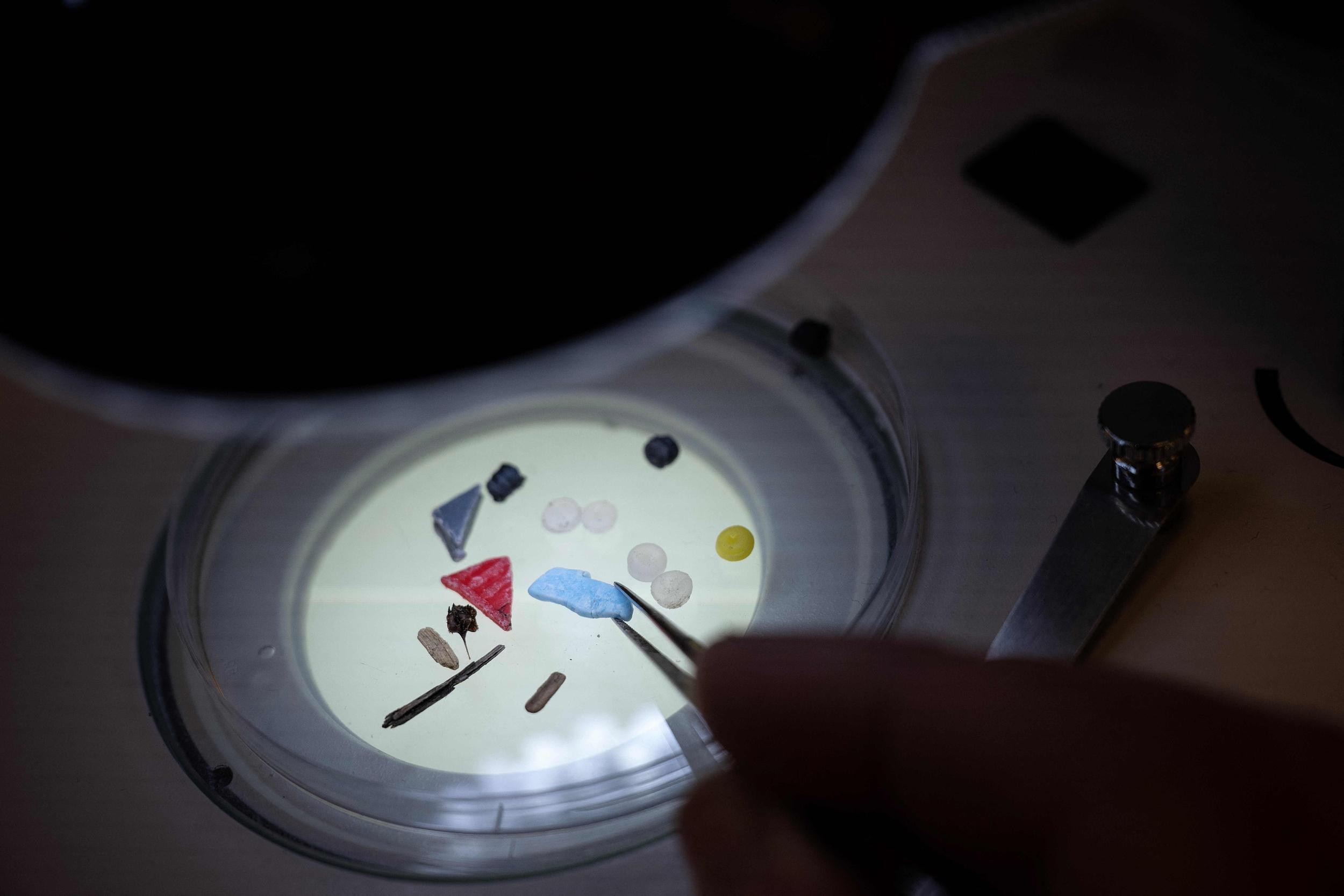 塑料微珠检测要求