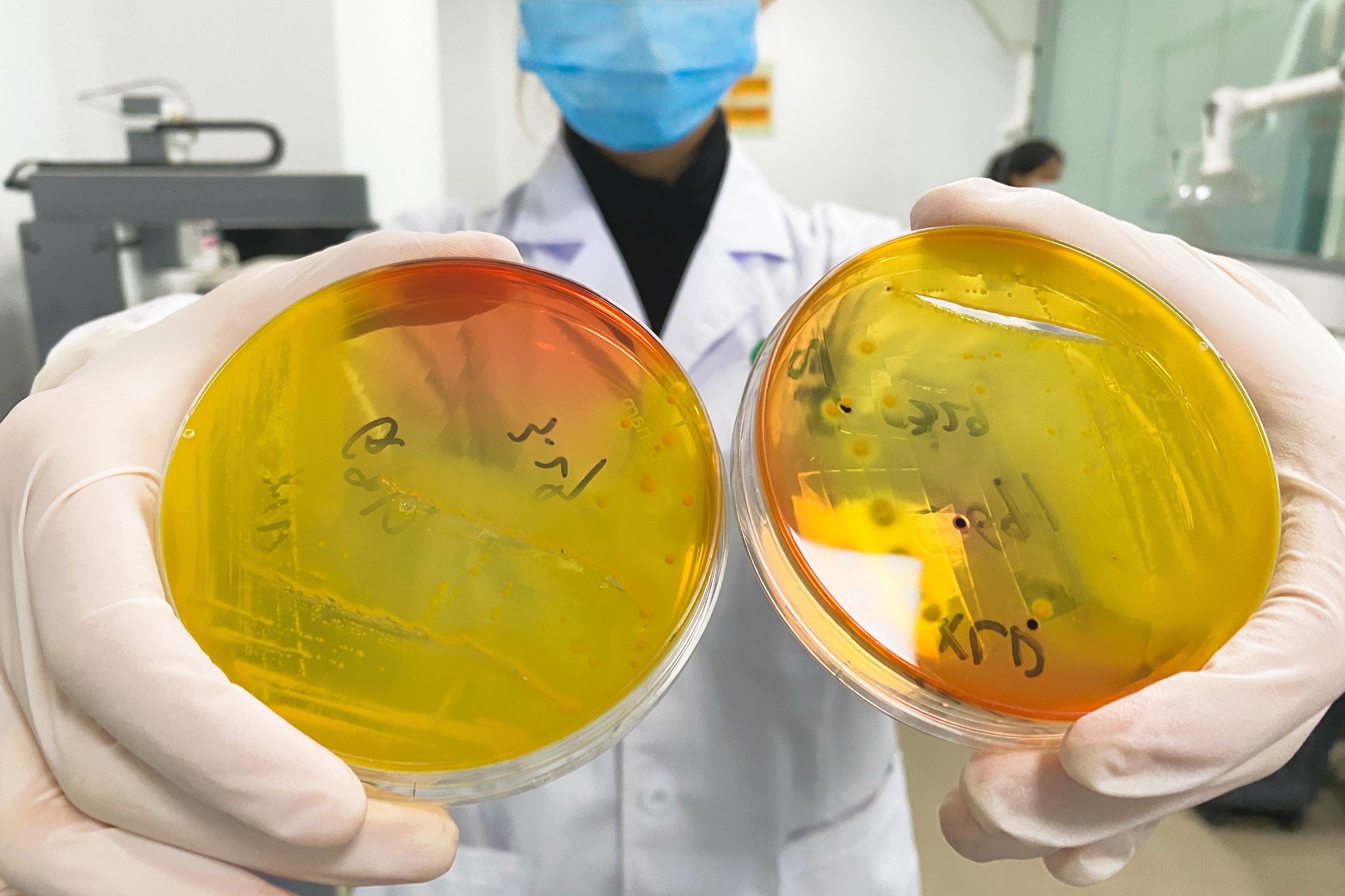 体外功效测试靠谱吗？