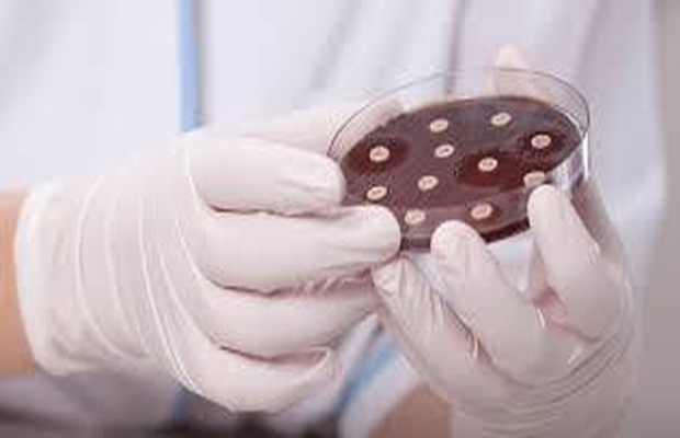 抗菌产品抑菌率检测方法