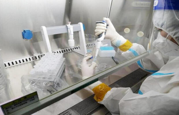 杀菌率定量测试方法