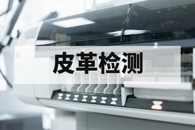 皮革检测项目标准及流程详解